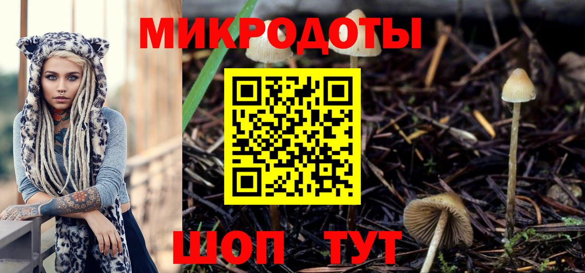 Псилоцибиновые грибы прущие грибы  Вход с VPN  Михайловск 